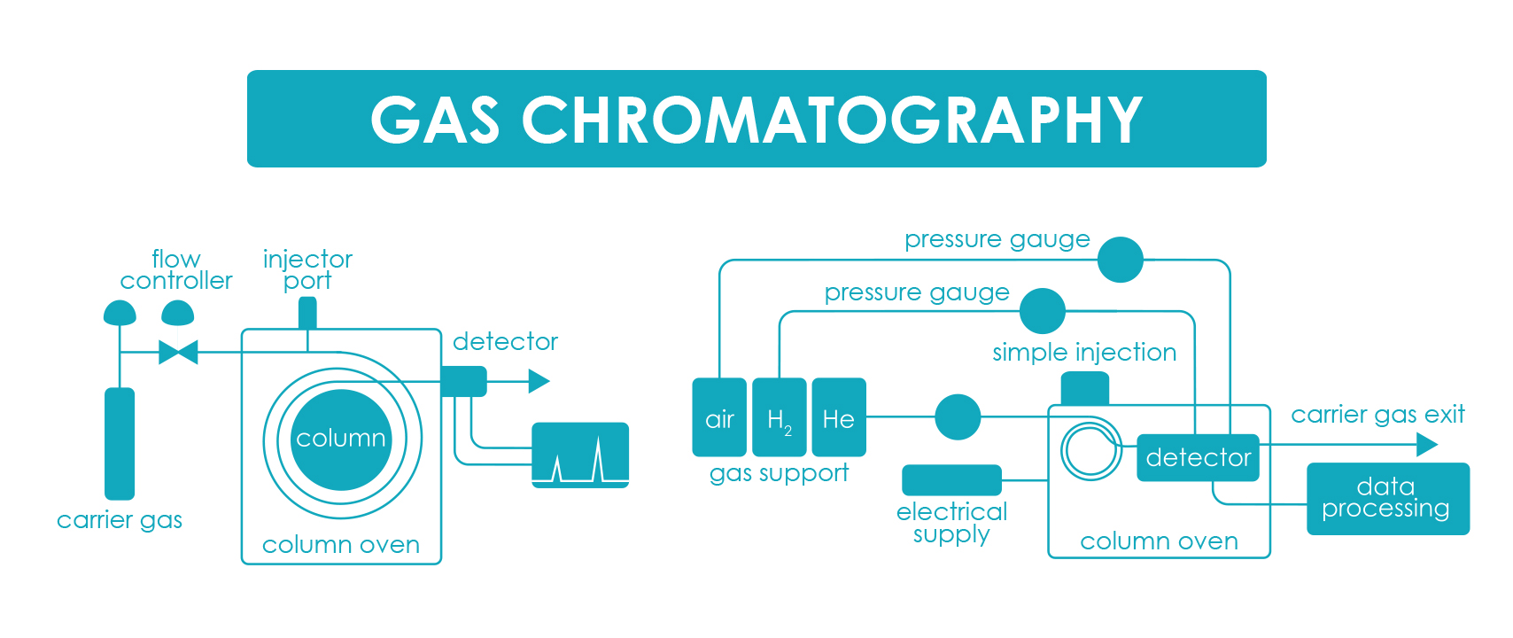 Gas Chromatography